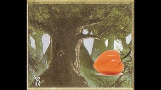 Let's Rush towards the Forest! (Part 2)