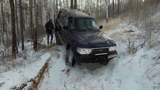 Оффроад в лесу. Land Cruiser 80, Pajero 2, УАЗ Патриот, Nissan Terrano и др. OffRoad