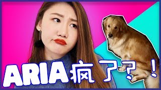 Aria疯了吧？！？！|吐槽搬新家后Aria大变脸