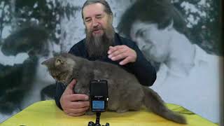 Наша семья