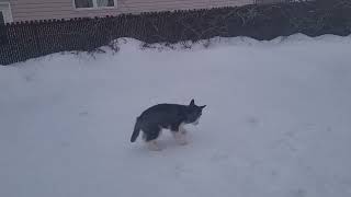 Ума осмелела на улице
