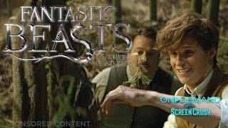 More Movies to Watch On Demand for March 2017: Fantastic Beasts, Silence, 20th Century Women