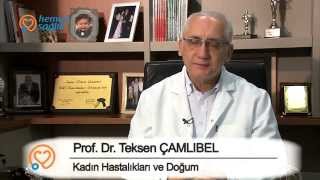 Prof. Dr. Teksen Çamlıbel - Tüp Bebek Uygulaması Nedir?
