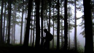 Reactant - Get Loose