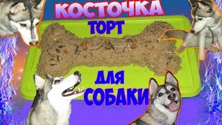 Как сделать торт для собаки? Подарок Рэсси ♥ #Хаски