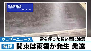 関東は雨雲が発生・発達　雷を伴った強い雨に注意