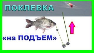 Поклевка карася "На Подъем"(выкладывание) поплавка- Fishing angeln la pesca câu cá 钓鱼 рыбалка