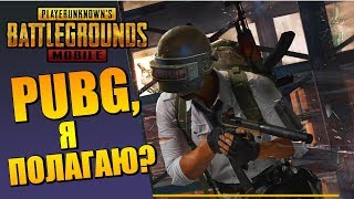 PUBG MOBILE от TIMI - СТРИМ, Я ПОЛАГАЮ?