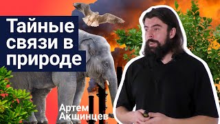 Стань учёным! | Тайные связи в природе - Артём Акшинцев