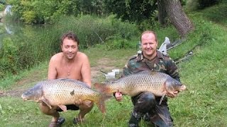 Ловля карпа в пруду, ловля на фидер, рыбалка на карпа