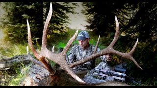 Staying Positive - Elk Hunting Film by Elk101 com