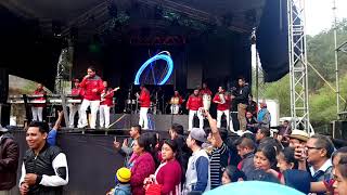 Grupo branly. Scooby doo papa