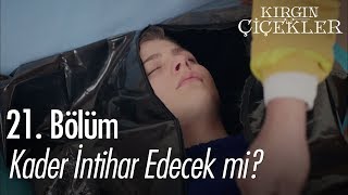 Kader intihar edecek mi? - Kırgın Çiçekler 21. Bölüm