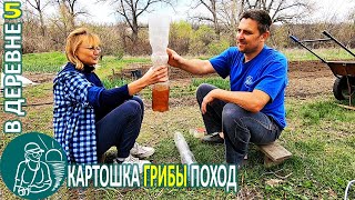 Сажаем картофель, собираем и готовим грибы-сморчки ???? Жизнь Гордеевых в деревне - Влог 5