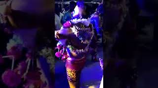 Domalguda pavan Potharaj 2019