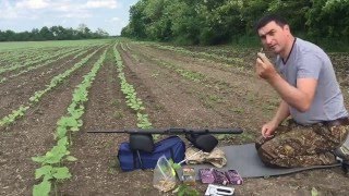 маузер М12 отстрел, кал 308 win, 7,62-51, патроны кентавр.  серия №1