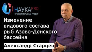 Александр Старцев - Причины изменения видового состава рыб Азово-Донского бассейна