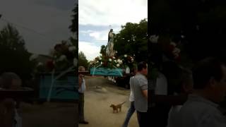 Fiesta poyotello 2016