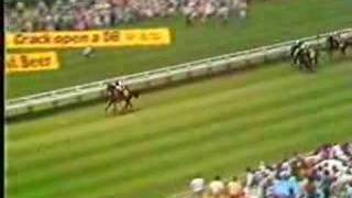 1987 Auckland Cup - KOTARE CHIEF