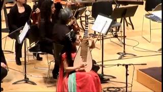 Swan，pipa with orchestra Zhao Cong-天鹅协奏曲 赵聪