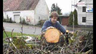 Husqvarna trifft Kirschbaum