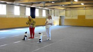 PÅSKEDANS - Kate & Zonja + Lizza & Zputnik