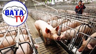 Как Россия за рацион своих граждан беспокоится