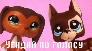 УГАДАЙ LPSБЛОГЕРА ПО ГОЛОСУ | Ann Di, Pilimon, Axioma?