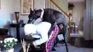spirit humping katlyn