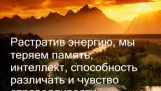SAI BABA :: ПОТОЛОК ДЛЯ ЖЕЛАНИЙ