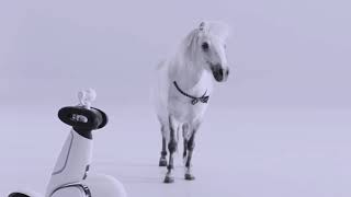 Гироскутер Ninebot Plus 2017 (White)