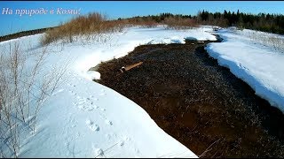 С Айдой на рыбалку.
