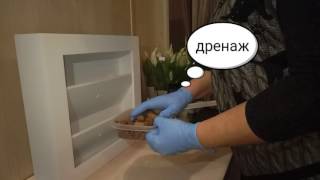 Вертикальное озеленение GREENWALL, Фитокартины SMARTgreen