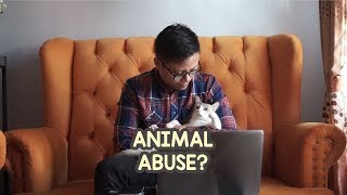 Kucing di MewPawmily Terkena Animal Abuse? - MewPawmily Keluarga Kucing Indonesia ❤