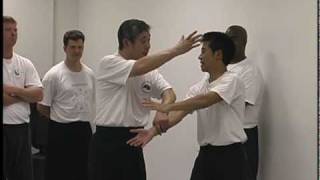 BaGua Zhang - Crossed Methods - Shuttle Palm - Master Su Dong Chen