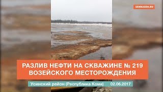 Разлив нефти на скважине № 219 Возейского месторождения