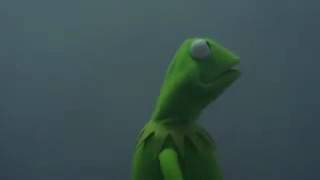Evil Kermit meme video