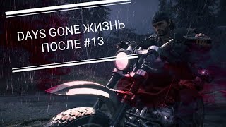 Days gone ЖИЗНЬ ПОСЛЕ # 13 часть - Засадный лагерь в БИРЛИ-ЛЕЙК
