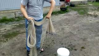 Заброс кастинговой сети