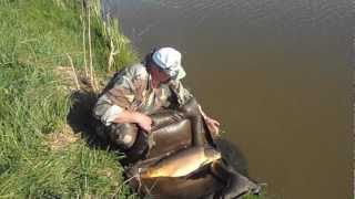 Carp Fishing. Карповая рыбалка. Karpiu zvejiba. Laukiniu karpiu zvejiba.