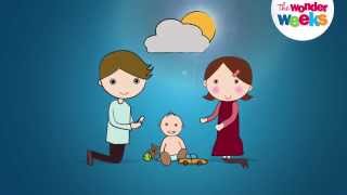 The Wonder Weeks - Worldwide #1 bestselling infant development book