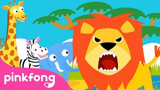 Hakuna Matata???? | Animales | Pinkfong Canciones Infantiles