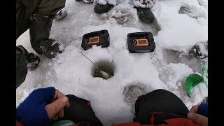Крупняк нам только снится!!! Эхолот ПРАКТИК 6М и ОКУНЬ...