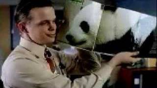 Pretty Panda