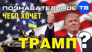 Чего хочет Трамп? (Познавательное ТВ, Елена Гоголь)