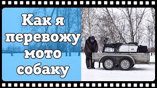 Мотобуксировщик БТС 500 с лыжным модулем. Транспортировка мотособаки на далёкие расстояния.