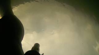 Подводная охота в декабре. | Spearfishing in December.