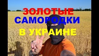 ЗОЛОТЫЕ САМОРОДКИ В УКРАИНЕ