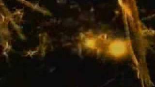 E.R.P. 2009 .Semantica