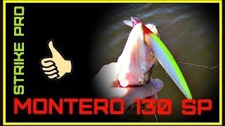 Воблер STRIKE PRO MONTERO 130 sp сработал лучше чем OSP RUDRA. Тв� auxmedia auxmedia